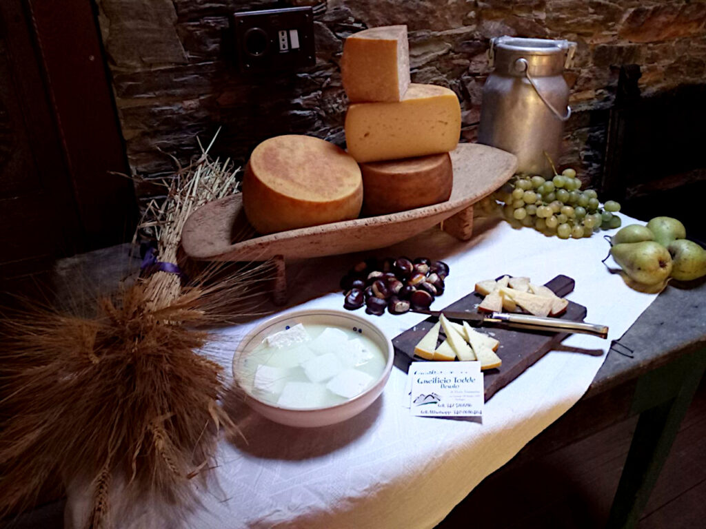 Formaggi Todde